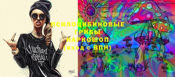 ГАЛЛЮЦИНОГЕННЫЕ ГРИБЫ Надым