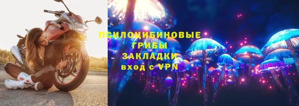 ГАЛЛЮЦИНОГЕННЫЕ ГРИБЫ Надым